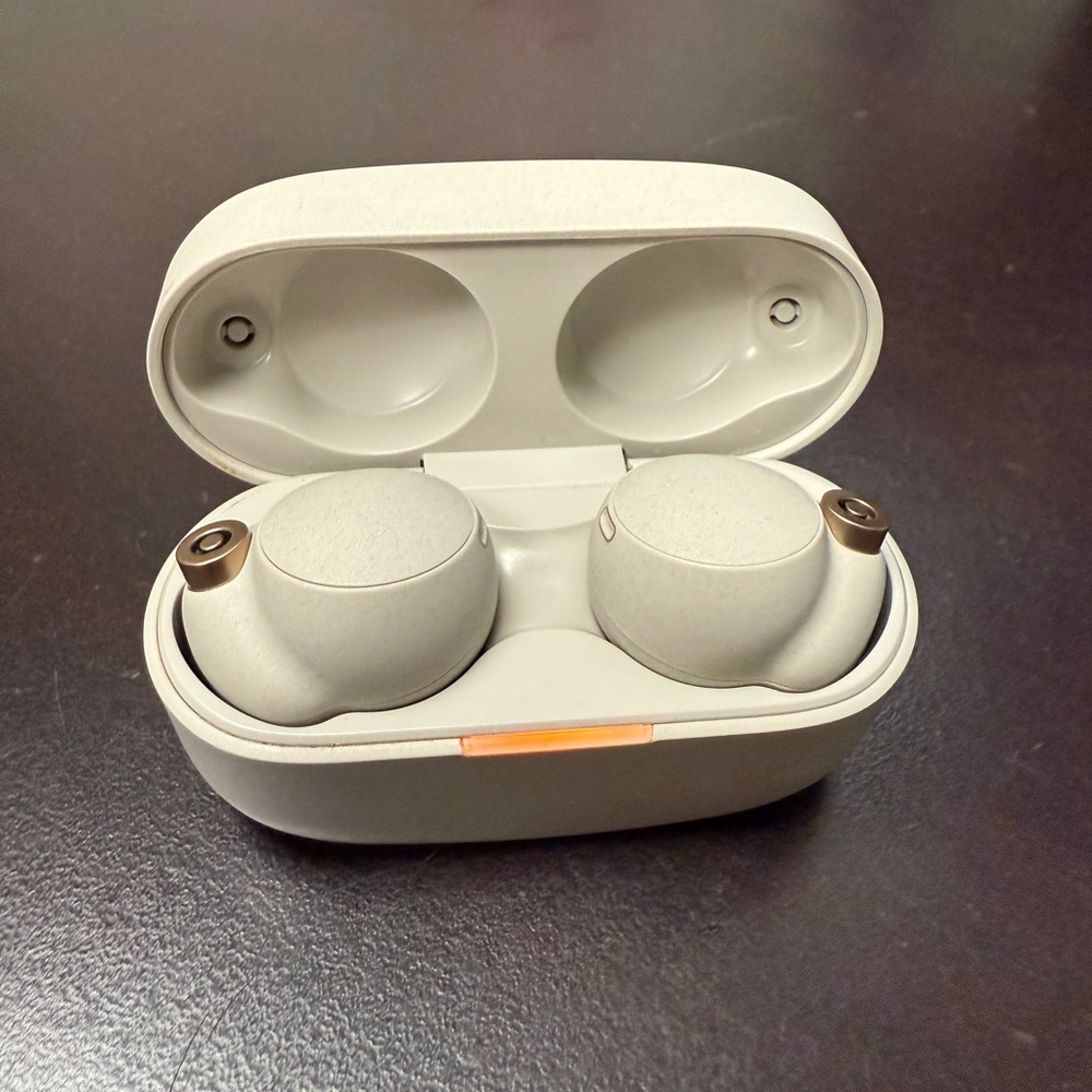 Sony WF1000XM4 Earbud Headphones - Stone Gray